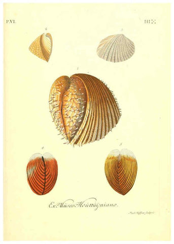 Reproducción/Reproduction 6096661006: Vergnügen der Augen und des Gemüths. v.2 atlas. [Nuremberg :1757