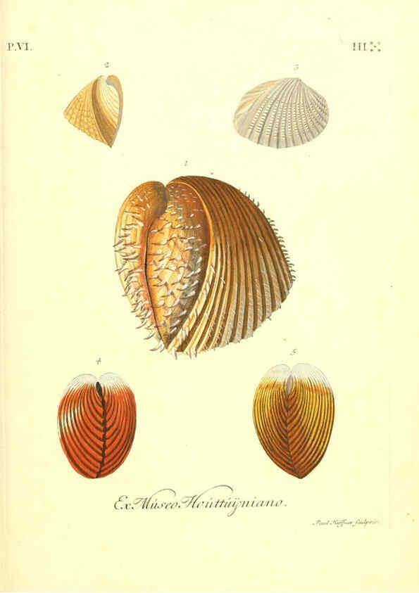 Reproducción/Reproduction 6096661006: Vergnügen der Augen und des Gemüths. v.2 atlas. [Nuremberg :1757