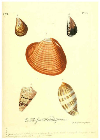 Reproducción/Reproduction 6096116361: Vergnügen der Augen und des Gemüths. v.2 atlas. [Nuremberg :1757