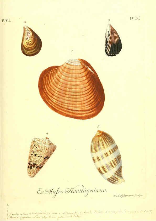 Reproducción/Reproduction 6096116361: Vergnügen der Augen und des Gemüths. v.2 atlas. [Nuremberg :1757