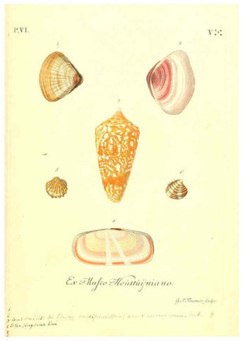 Reproducción/Reproduction 6096661438: Vergnügen der Augen und des Gemüths. v.2 atlas. [Nuremberg :1757