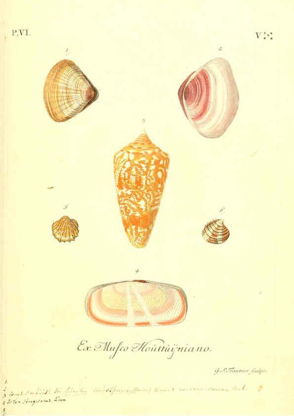 Reproducción/Reproduction 6096661438: Vergnügen der Augen und des Gemüths. v.2 atlas. [Nuremberg :1757
