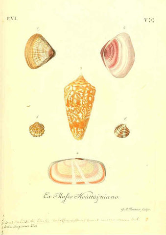 Reproducción/Reproduction 6096661438: Vergnügen der Augen und des Gemüths. v.2 atlas. [Nuremberg :1757