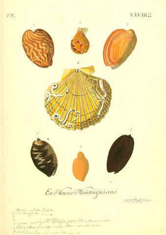Reproducción/Reproduction 6096657756: Vergnügen der Augen und des Gemüths. v.2 atlas. [Nuremberg :1757
