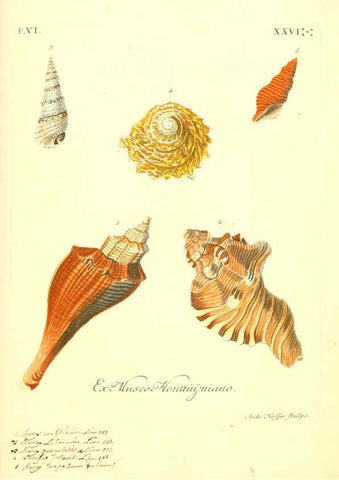 Reproducción/Reproduction 6096667394: Vergnügen der Augen und des Gemüths. v.2 atlas. [Nuremberg :1757