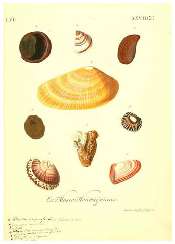 Reproducción/Reproduction 6096123117: Vergnügen der Augen und des Gemüths. v.2 atlas. [Nuremberg :1757