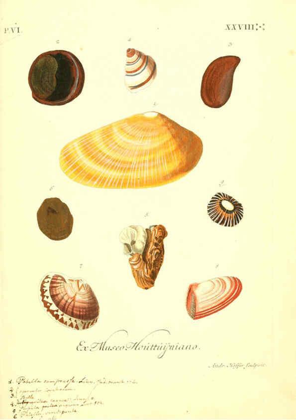Reproducción/Reproduction 6096123117: Vergnügen der Augen und des Gemüths. v.2 atlas. [Nuremberg :1757
