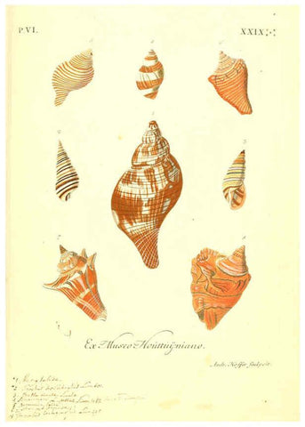 Reproducción/Reproduction 6096668156: Vergnügen der Augen und des Gemüths. v.2 atlas. [Nuremberg :1757