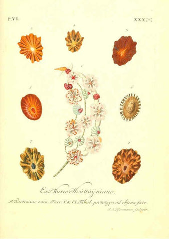 Reproducción/Reproduction 6096668410: Vergnügen der Augen und des Gemüths. v.2 atlas. [Nuremberg :1757