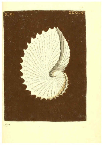 Reproducción/Reproduction 6096668886: Vergnügen der Augen und des Gemüths. v.2 atlas. [Nuremberg :1757