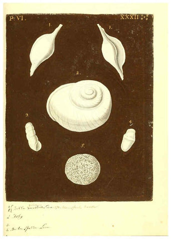 Reproducción/Reproduction 6096124177: Vergnügen der Augen und des Gemüths. v.2 atlas. [Nuremberg :1757