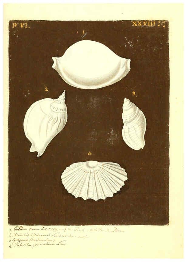 Reproducción/Reproduction 6096669302: Vergnügen der Augen und des Gemüths. v.2 atlas. [Nuremberg :1757