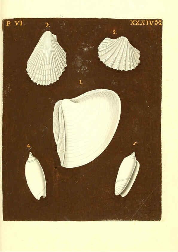 Reproducción/Reproduction 6096669510: Vergnügen der Augen und des Gemüths. v.2 atlas. [Nuremberg :1757