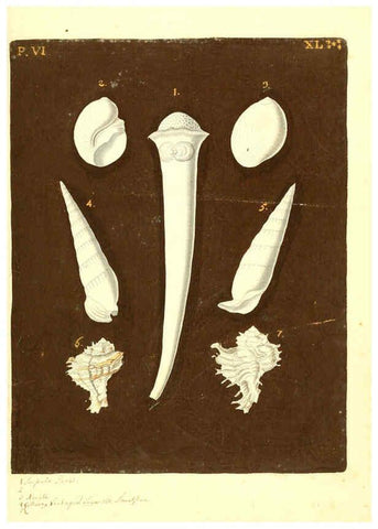 Reproducción/Reproduction 6096126227: Vergnügen der Augen und des Gemüths. v.2 atlas. [Nuremberg :1757