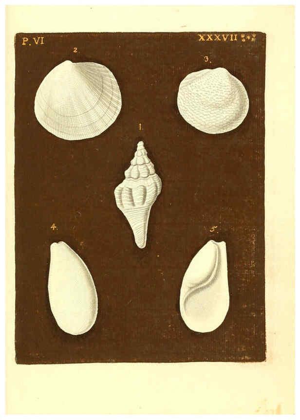Reproducción/Reproduction 6096670210: Vergnügen der Augen und des Gemüths. v.2 atlas. [Nuremberg :1757