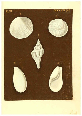 Reproducción/Reproduction 6096670210: Vergnügen der Augen und des Gemüths. v.2 atlas. [Nuremberg :1757