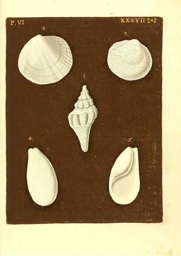 Reproducción/Reproduction 6096670210: Vergnügen der Augen und des Gemüths. v.2 atlas. [Nuremberg :1757