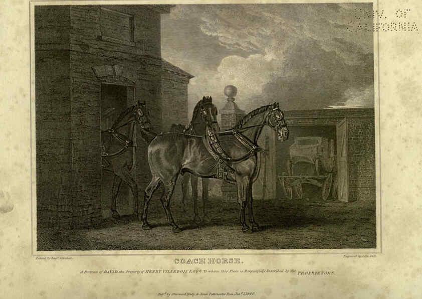 Reproducción/Reproduction 6100005178: The sportsman's repository London,Henry G. Bohn,1845