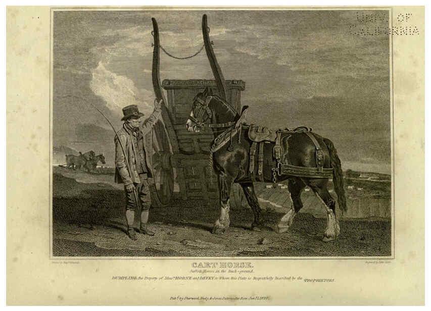Reproducción/Reproduction 6100005388: The sportsman's repository London,Henry G. Bohn,1845