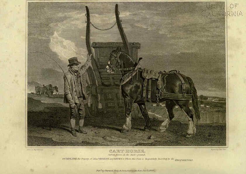 Reproducción/Reproduction 6100005388: The sportsman's repository London,Henry G. Bohn,1845