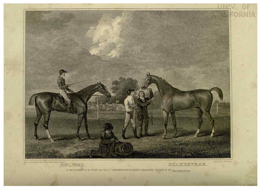 Reproducción/Reproduction 6099459619: The sportsman's repository London,Henry G. Bohn,1845