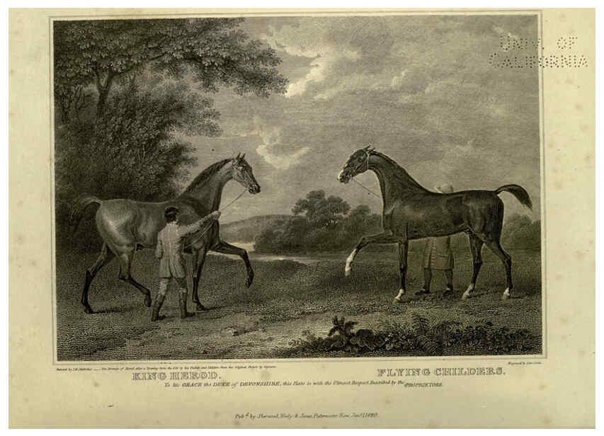 Reproducción/Reproduction 6100005922: The sportsman's repository London,Henry G. Bohn,1845