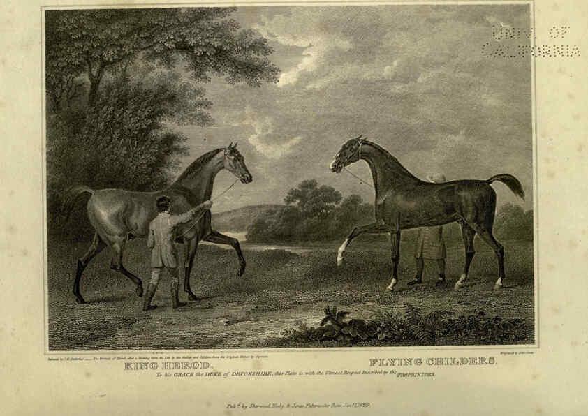 Reproducción/Reproduction 6100005922: The sportsman's repository London,Henry G. Bohn,1845