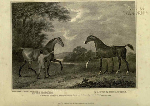 Reproducción/Reproduction 6100005922: The sportsman's repository London,Henry G. Bohn,1845