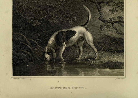 Reproducción/Reproduction 6099460729: The sportsman's repository London,Henry G. Bohn,1845