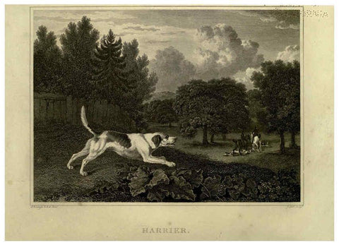 Reproducción/Reproduction 6100008166: The sportsman's repository London,Henry G. Bohn,1845