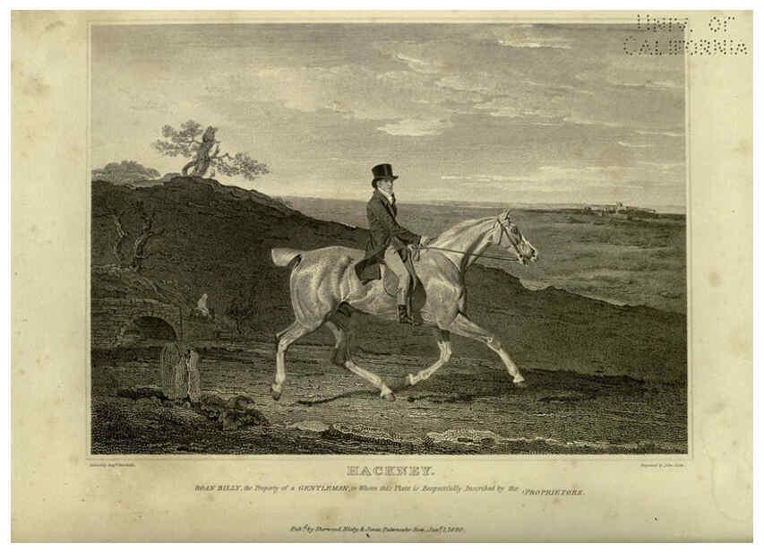 Reproducción/Reproduction 6099458609: The sportsman's repository London,Henry G. Bohn,1845
