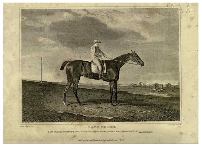 Reproducción/Reproduction 6099458183: The sportsman's repository London,Henry G. Bohn,1845