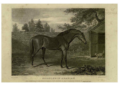 Reproducción/Reproduction 6100003860: The sportsman's repository London,Henry G. Bohn,1845