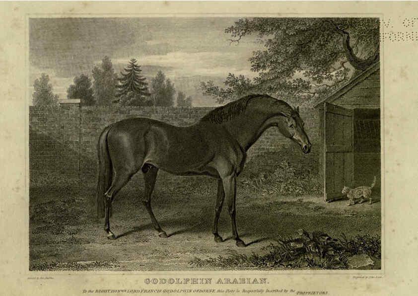 Reproducción/Reproduction 6100003860: The sportsman's repository London,Henry G. Bohn,1845