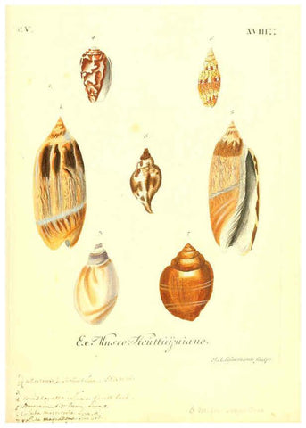 Reproducción/Reproduction 6096110701: Vergnügen der Augen und des Gemüths. v.2 atlas. [Nuremberg :1757