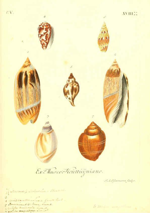 Reproducción/Reproduction 6096110701: Vergnügen der Augen und des Gemüths. v.2 atlas. [Nuremberg :1757