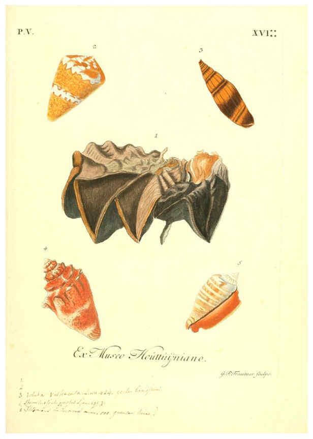 Reproducción/Reproduction 6096654904: Vergnügen der Augen und des Gemüths. v.2 atlas. [Nuremberg :1757