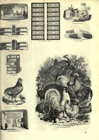 Reproducción/Reproduction 6093058122: The pictorial museum of animated nature. v.1. London :C. Cox,[1844?] 