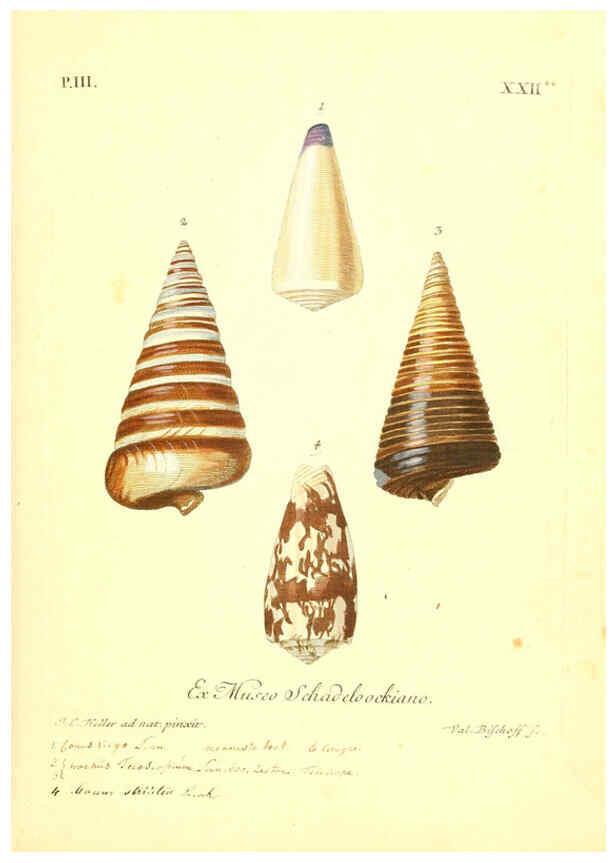 Reproducción/Reproduction 6096640890: Vergnügen der Augen und des Gemüths. v.2 atlas. [Nuremberg :1757