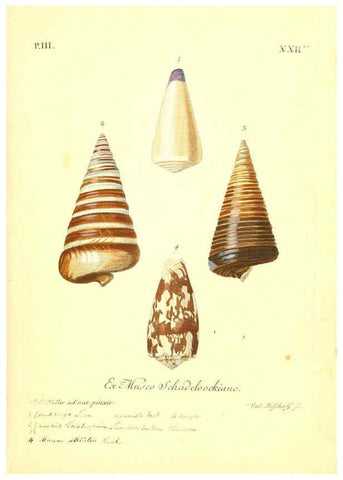Reproducción/Reproduction 6096640890: Vergnügen der Augen und des Gemüths. v.2 atlas. [Nuremberg :1757
