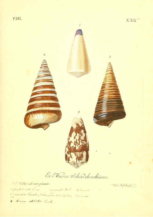 Reproducción/Reproduction 6096640890: Vergnügen der Augen und des Gemüths. v.2 atlas. [Nuremberg :1757