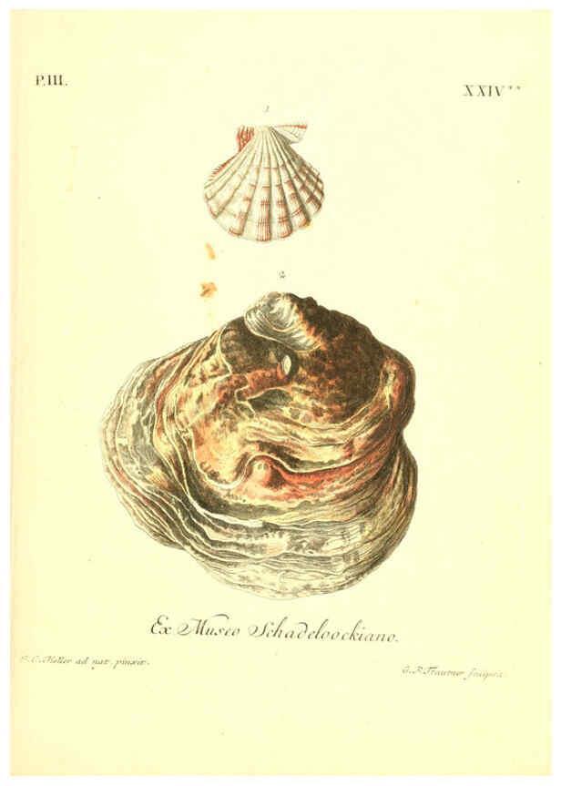 Reproducción/Reproduction 6096641376: Vergnügen der Augen und des Gemüths. v.2 atlas. [Nuremberg :1757