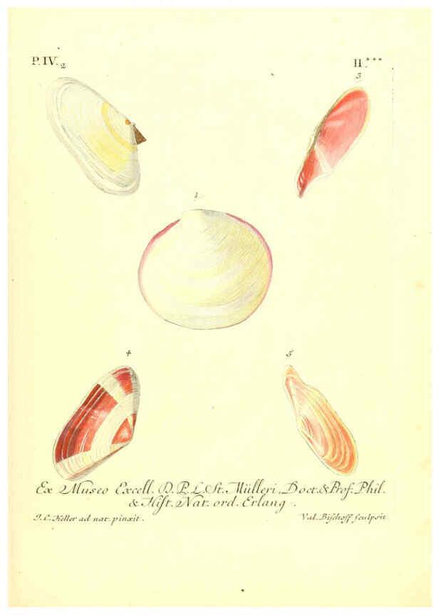 Reproducción/Reproduction 6096098911: Vergnügen der Augen und des Gemüths. v.2 atlas. [Nuremberg :1757