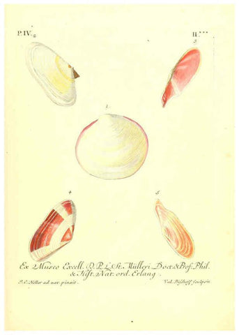 Reproducción/Reproduction 6096098911: Vergnügen der Augen und des Gemüths. v.2 atlas. [Nuremberg :1757