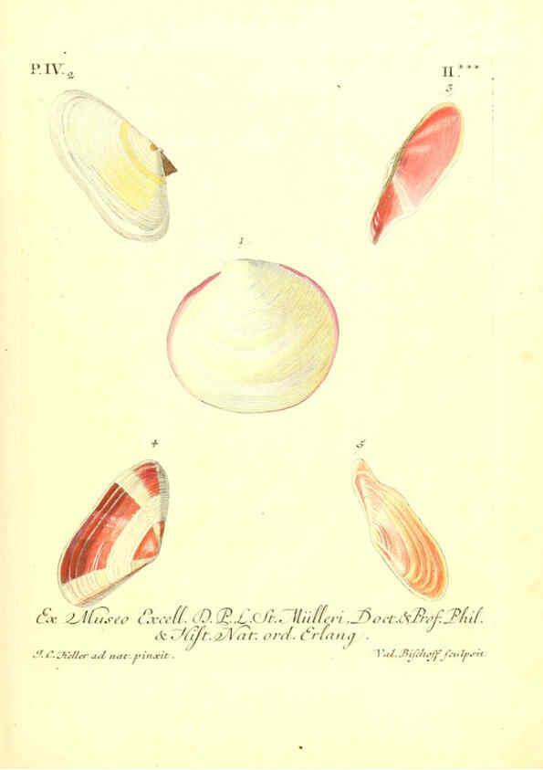 Reproducción/Reproduction 6096098911: Vergnügen der Augen und des Gemüths. v.2 atlas. [Nuremberg :1757