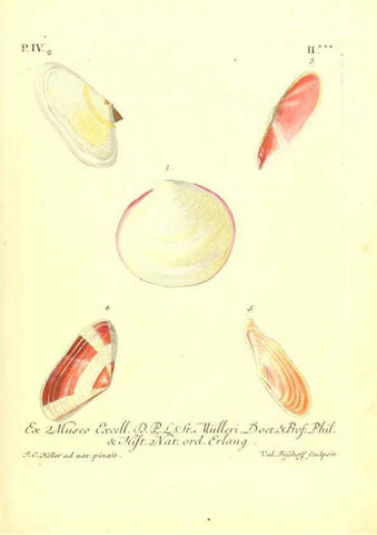 Reproducción/Reproduction 6096098911: Vergnügen der Augen und des Gemüths. v.2 atlas. [Nuremberg :1757