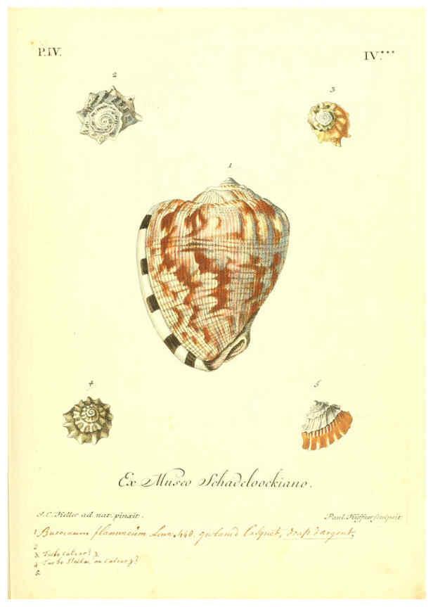 Reproducción/Reproduction 6096643814: Vergnügen der Augen und des Gemüths. v.2 atlas. [Nuremberg :1757