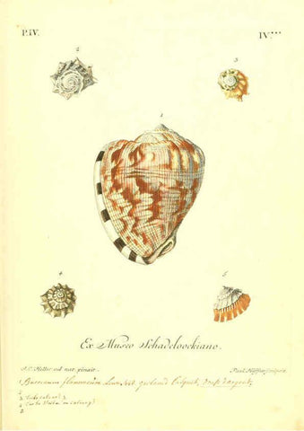 Reproducción/Reproduction 6096643814: Vergnügen der Augen und des Gemüths. v.2 atlas. [Nuremberg :1757