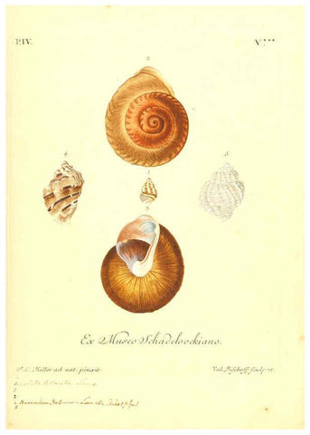 Reproducción/Reproduction 6096099727: Vergnügen der Augen und des Gemüths. v.2 atlas. [Nuremberg :1757