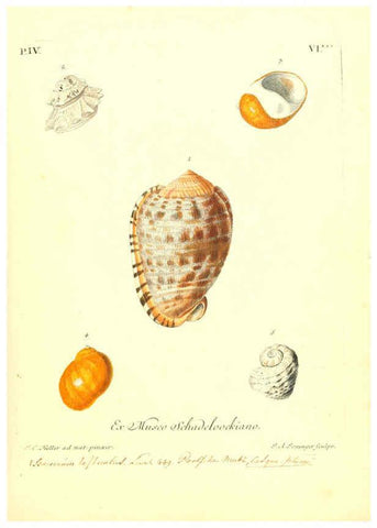Reproducción/Reproduction 6096644340: Vergnügen der Augen und des Gemüths. v.2 atlas. [Nuremberg :1757
